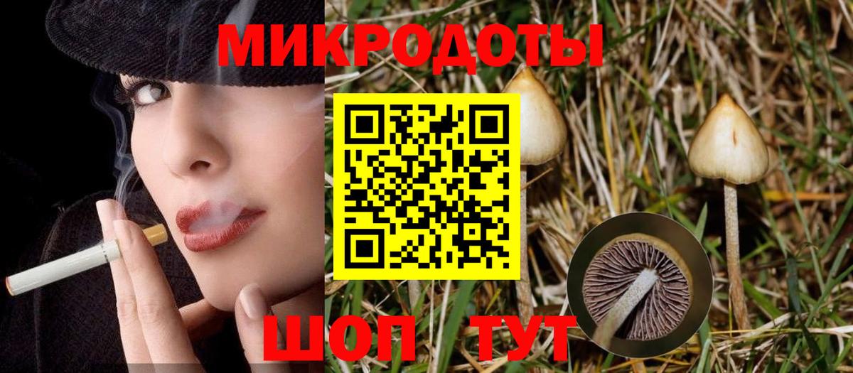 Гусев  Псилоцибиновые грибы прущие грибы  Вход с VPN 